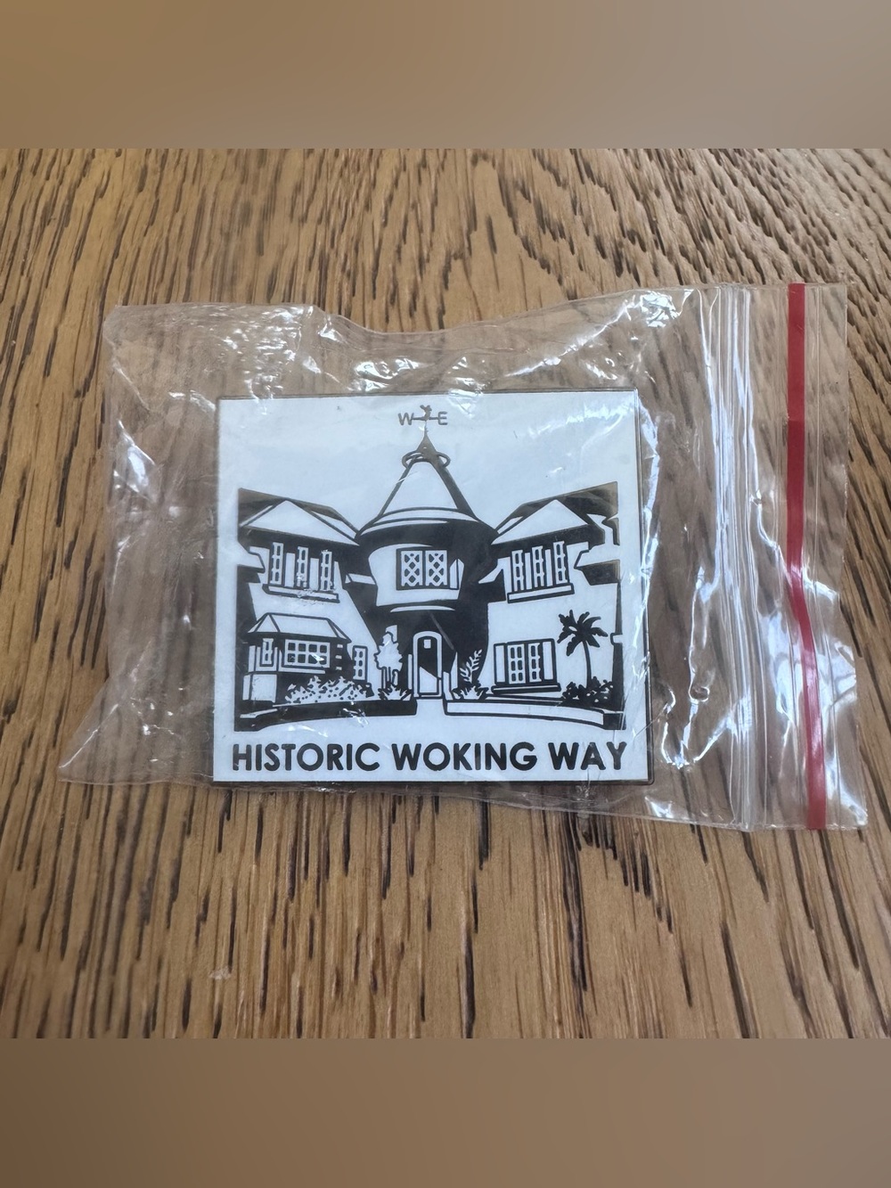 WALT DISNEY STORYBOOK HOME TOUR HISTORIC WOKING WAY PIN VERY RARE